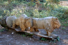 Killikus&reg; Fotographie